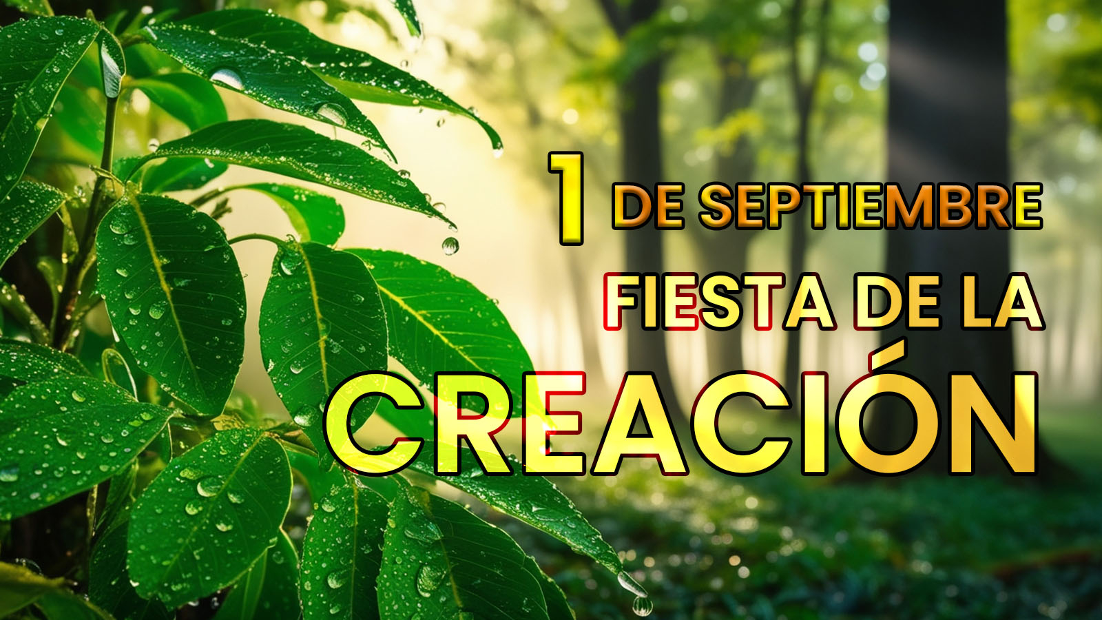 FIESTA DE LA CREACIÓN 2024